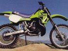 Kawasaki KX 500